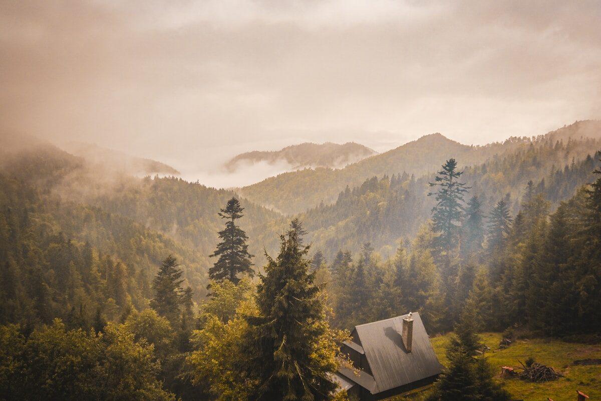 A house in the middle of a forest with mountains in the background